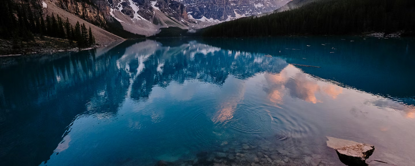 Πίνακας δεδομένων βιωσιμότητας