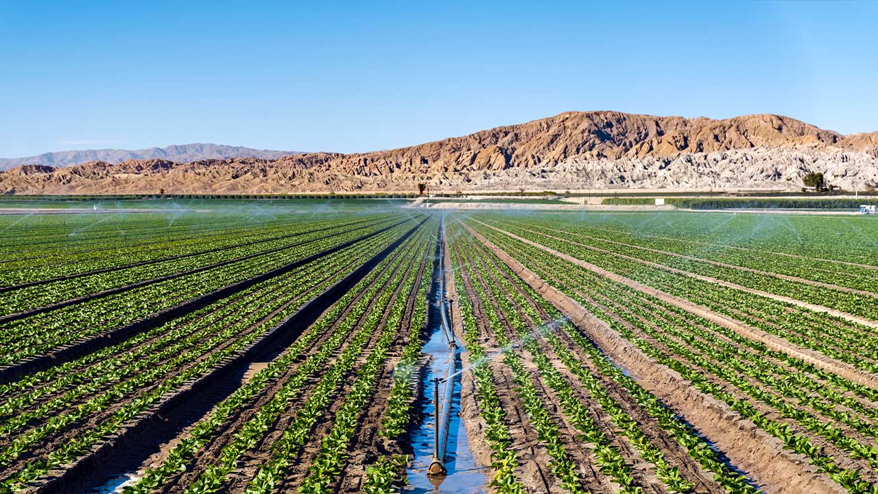 Agriculture - Food and Beverage | ABB