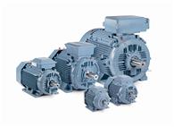 Motors-group_195x142