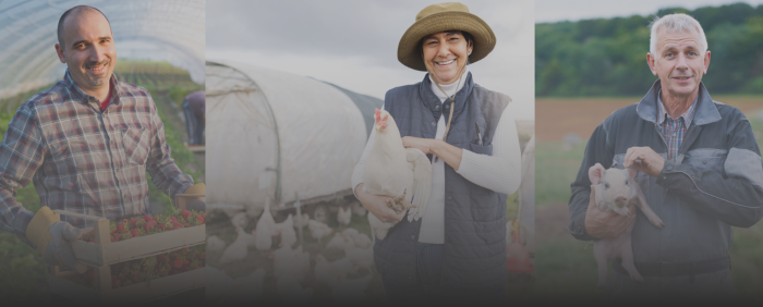 食品饮料进阶之道